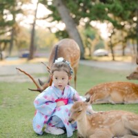 Kids in kimono with deer in Nara deer park Kids' kimono